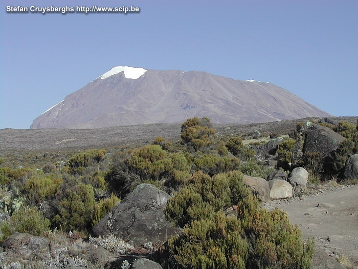 Kilimanjaro - Day 2 - View on Uhuru The Kibo volcano with the white summits of Uhuru peak. The second day the luxuriant overgrowth disappears and the landscape changes into heathlands, grass and low bushes. This is called 'moorland'. In the afternoon we arrive in the Horombohut at 3700m. Here, a lot of people get the first symptoms of altitude sickness. Stefan Cruysberghs